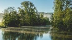 在晴朗的日子里，一条雾蒙蒙的河流流过郁郁葱葱的森林