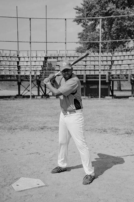 bat removal near me Studio City bat removal Studio City