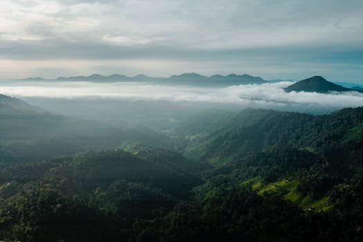 A stunning aerial capture of mist-covered mountains and lush forested valleys.