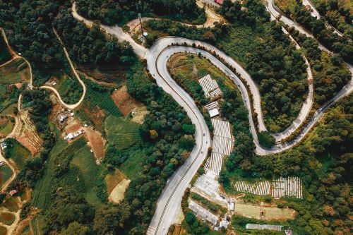 Free Aerial view of curve asphalt road surrounded by green forest and fields with plantations in countryside in sunny day Stock Photo