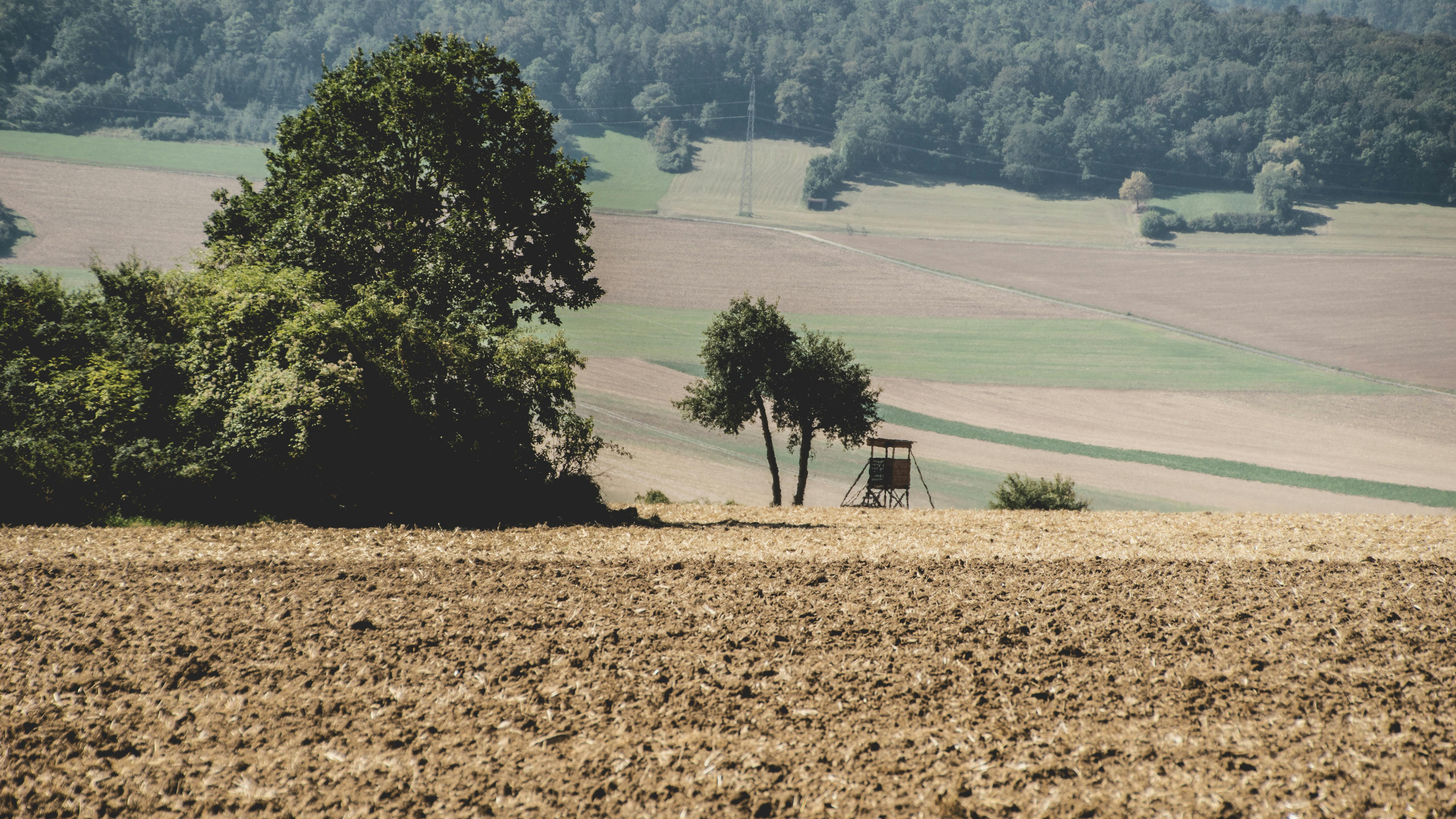 Scattered Farmland Trees and Wildlife Habitat