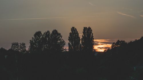 Free A tranquil sunset scene with trees silhouetted against a vibrant sky. Stock Photo