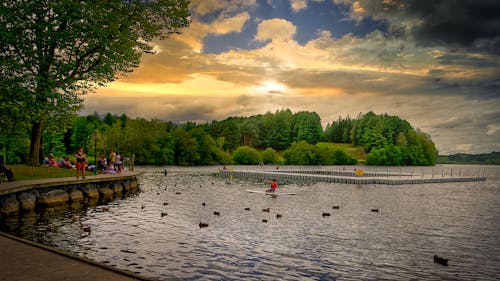 Gratis arkivbilde med lac d'eau