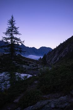 暮光天空下，树木轮廓映衬着宁静的山景