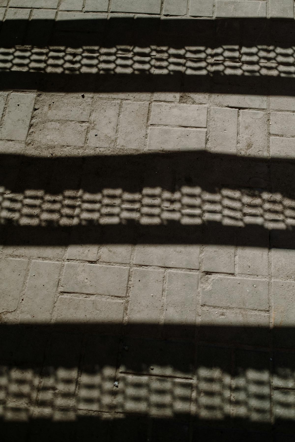 Older adults walking together in an urban park