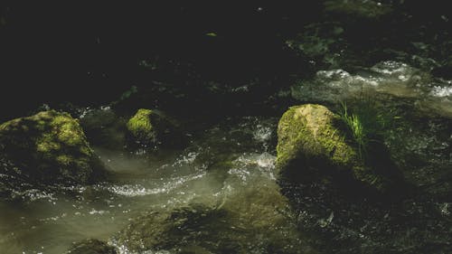 天性, 水, 石頭 的 免费素材图片