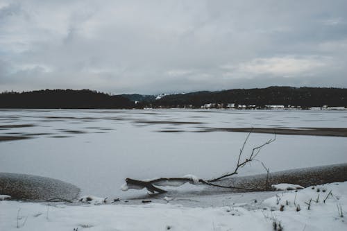 겨울, 눈, 얼어붙은 호수의 무료 스톡 사진
