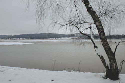 Gratis lagerfoto af frossen sø, is, sne