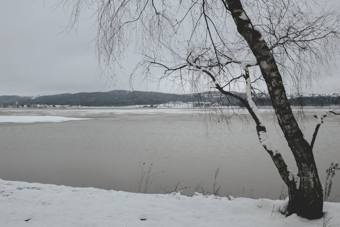 Free stock photo of frozen lake, ice, snow