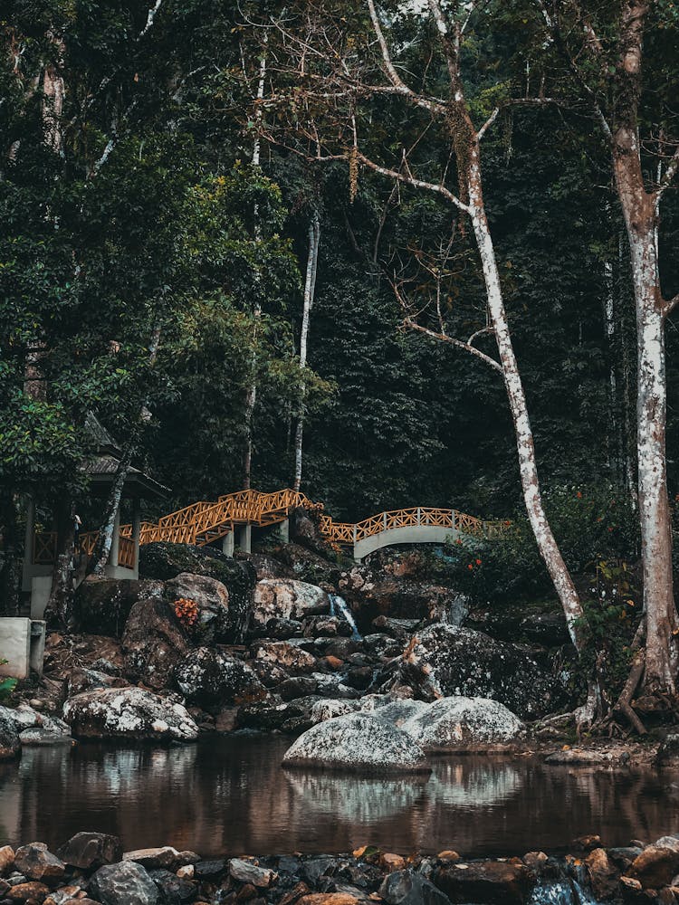 Bridge On Rocky River