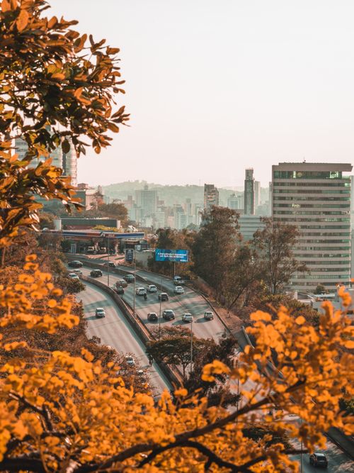 Free A scenic view of Belo Horizonte's skyline with vibrant foliage and dynamic city traffic. Stock Photo