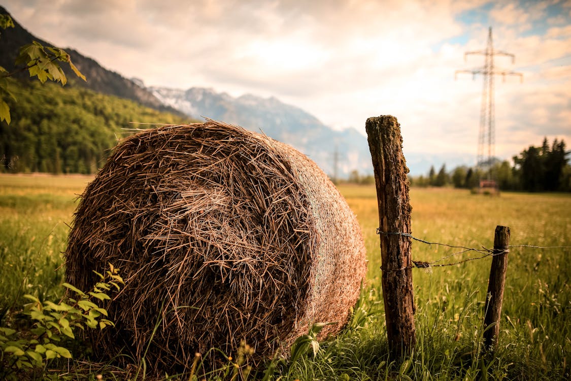 Hay Beside Brown Wood Slab