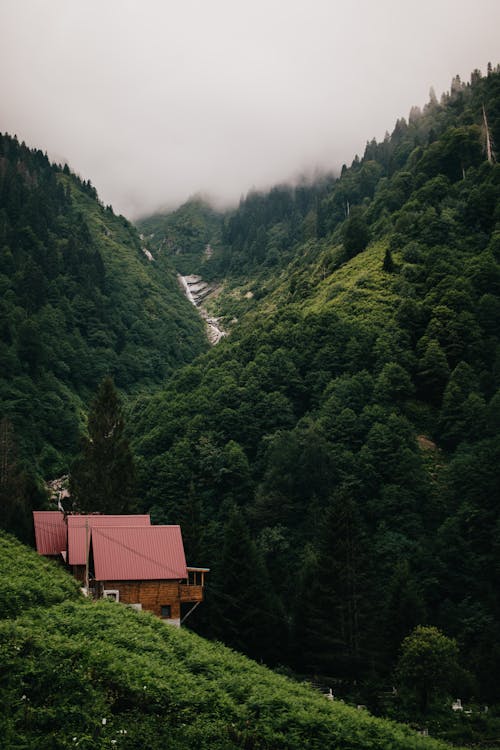 House in Woods of Green Mountain