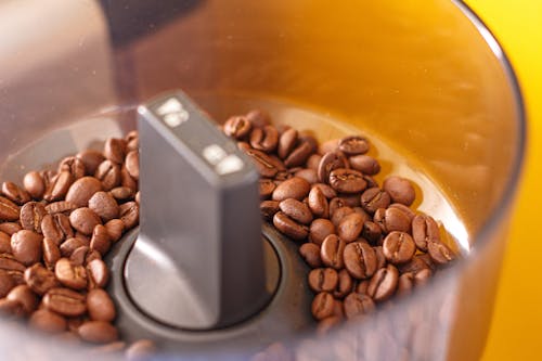 Free Roasted Coffee Beans on Coffee Grinder Stock Photo