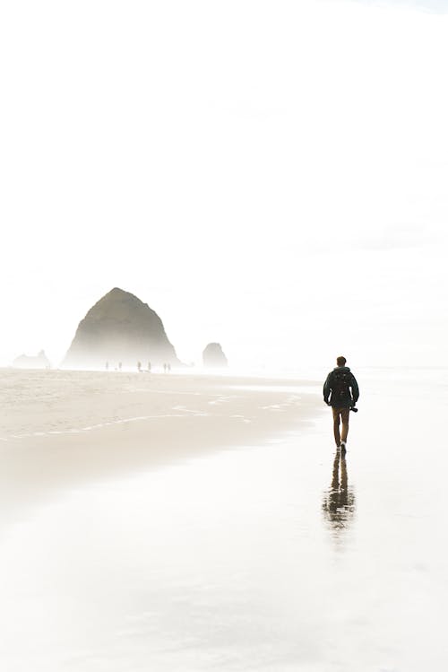 Free Unrecognizable male traveler walking on sandy coast Stock Photo