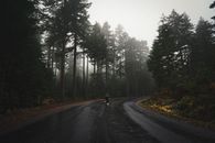 Unrecognizable traveler taking photo of empty asphalt road going through coniferous forest on rainy day