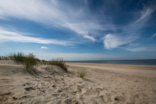 Free A serene beach scene with sand dunes, grass, and a vast blue sky, perfect for nature photography. Stock Photo