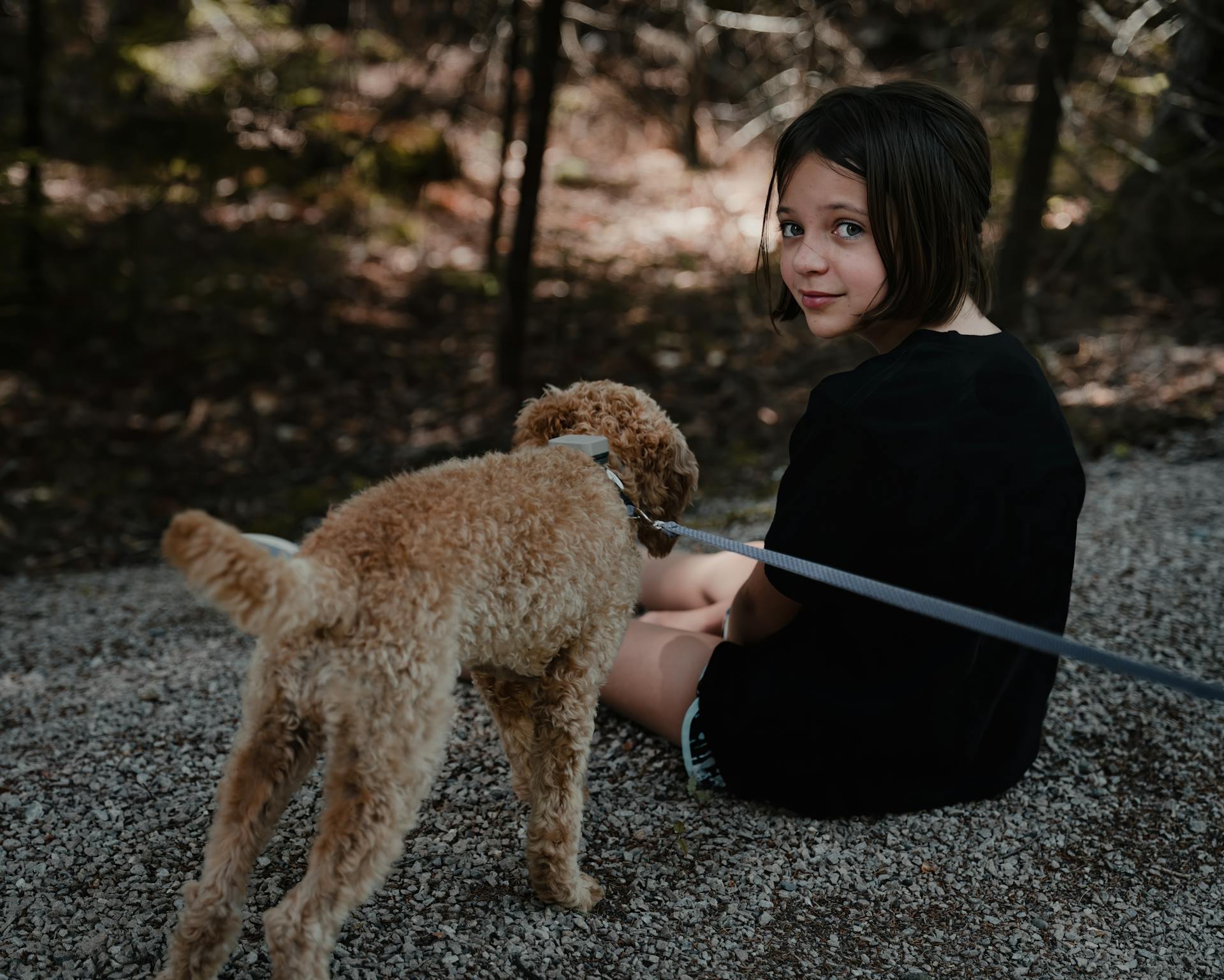 Back view of little girl in casual outfit sitting on pebble ground with fluffy brown poodle dog on leash near trees in daylight in park