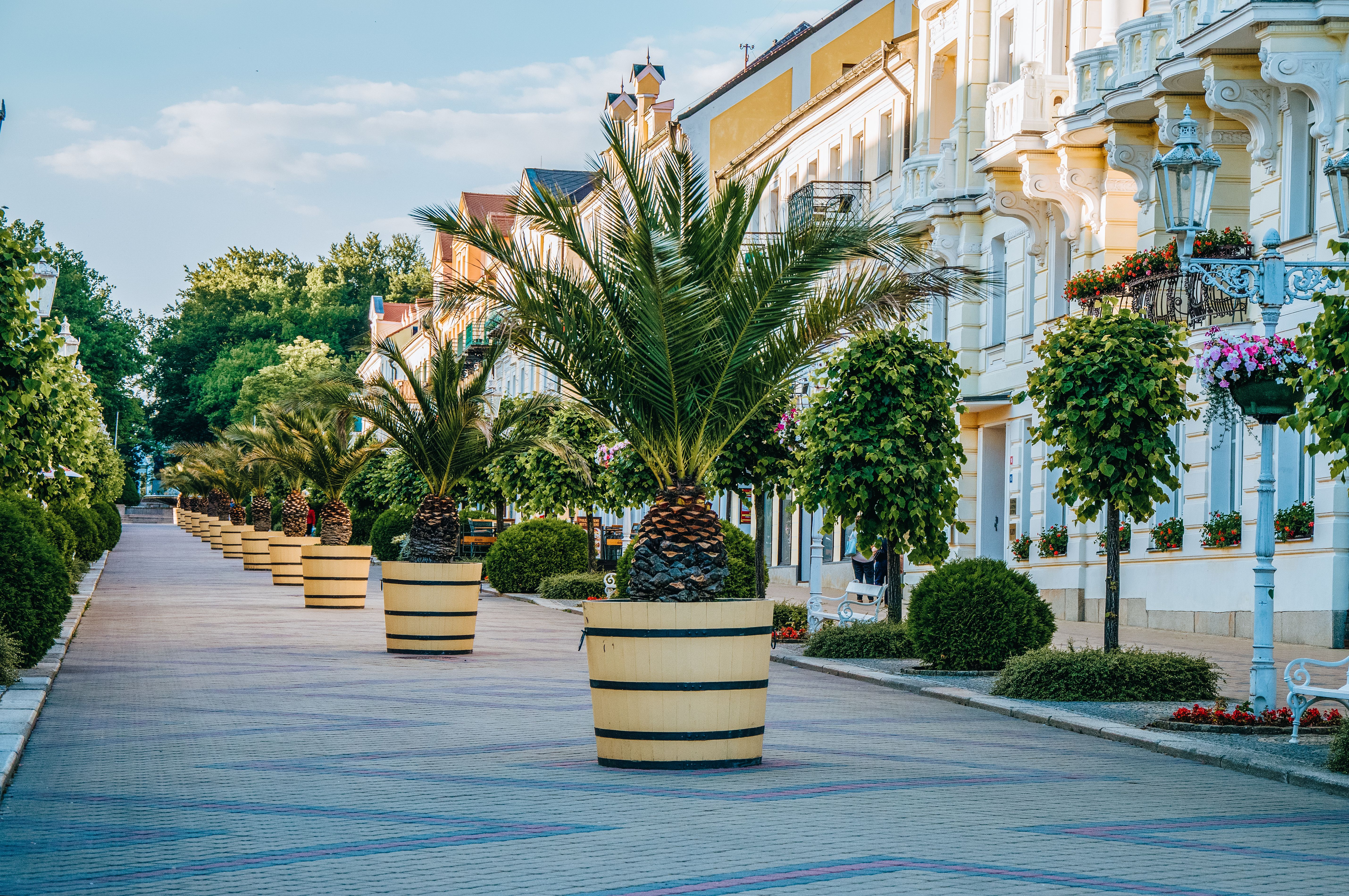 Wide residential boulevard with panel blocks and tram lines in Krasno Selo district, Sofia