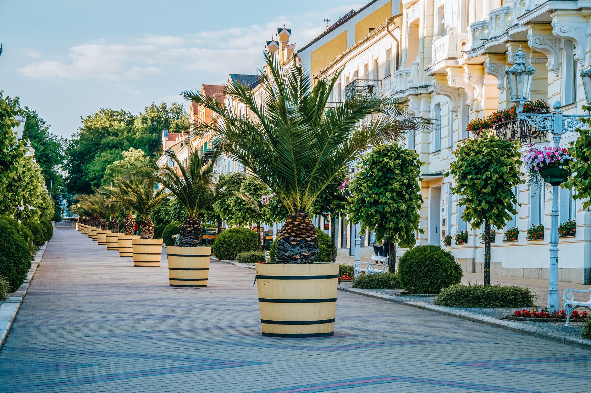 Wide residential boulevard with panel blocks and tram lines in Krasno Selo district, Sofia