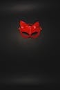 Red Leather Mask