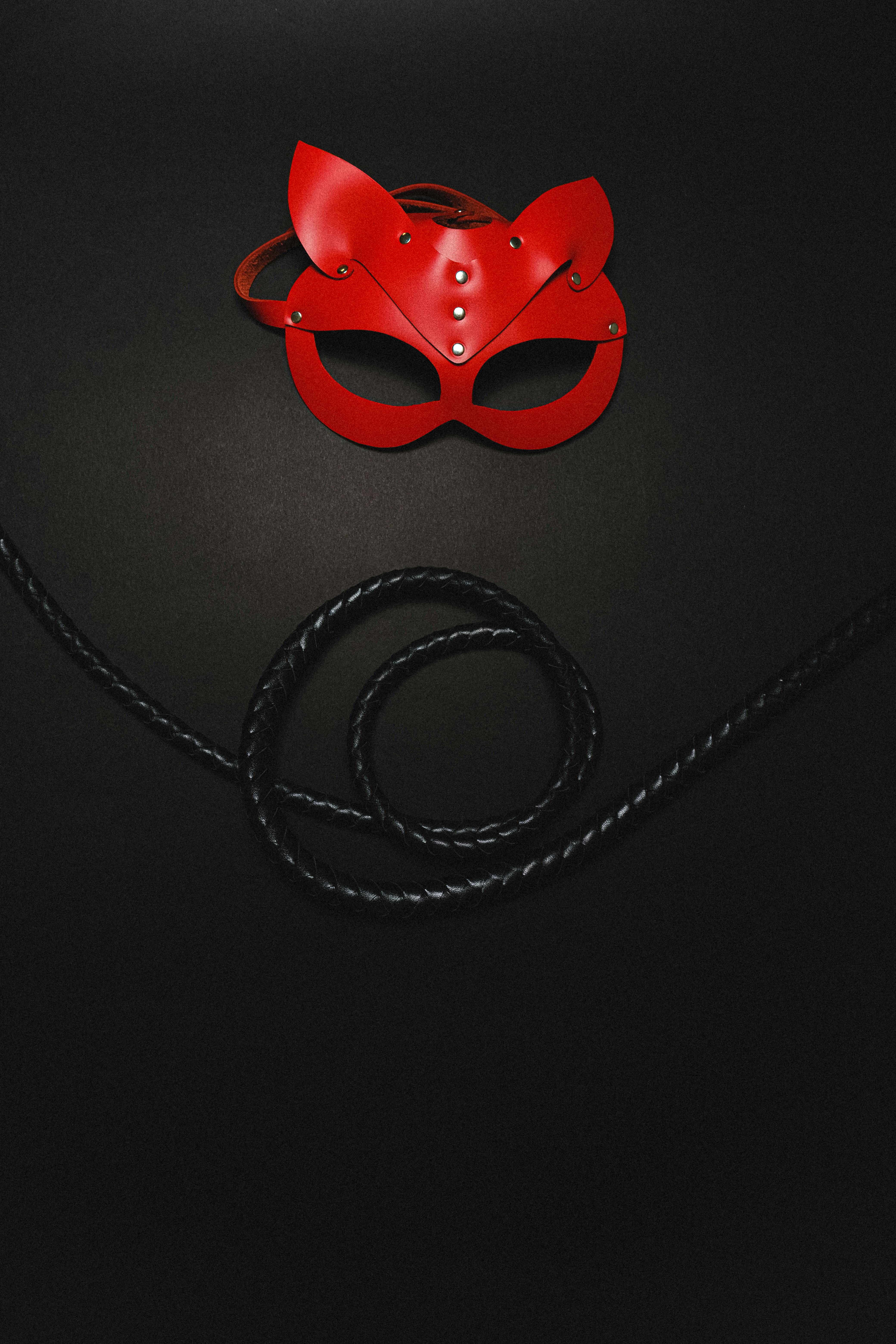 bdsm mask and whip