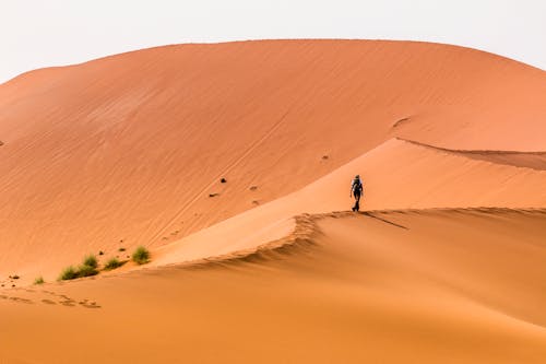 Immagine gratuita di camminando, da solo, deserto