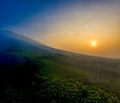 Foto stok gratis alam, bidang, bukit