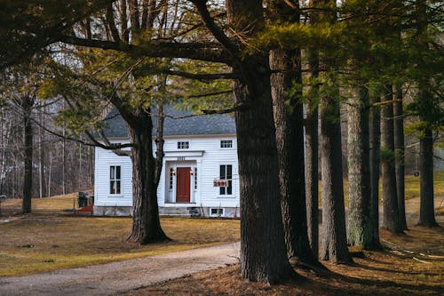 Ücretsiz ağaçlar, barınak, ev içeren Ücretsiz stok fotoğraf Stok Fotoğraflar