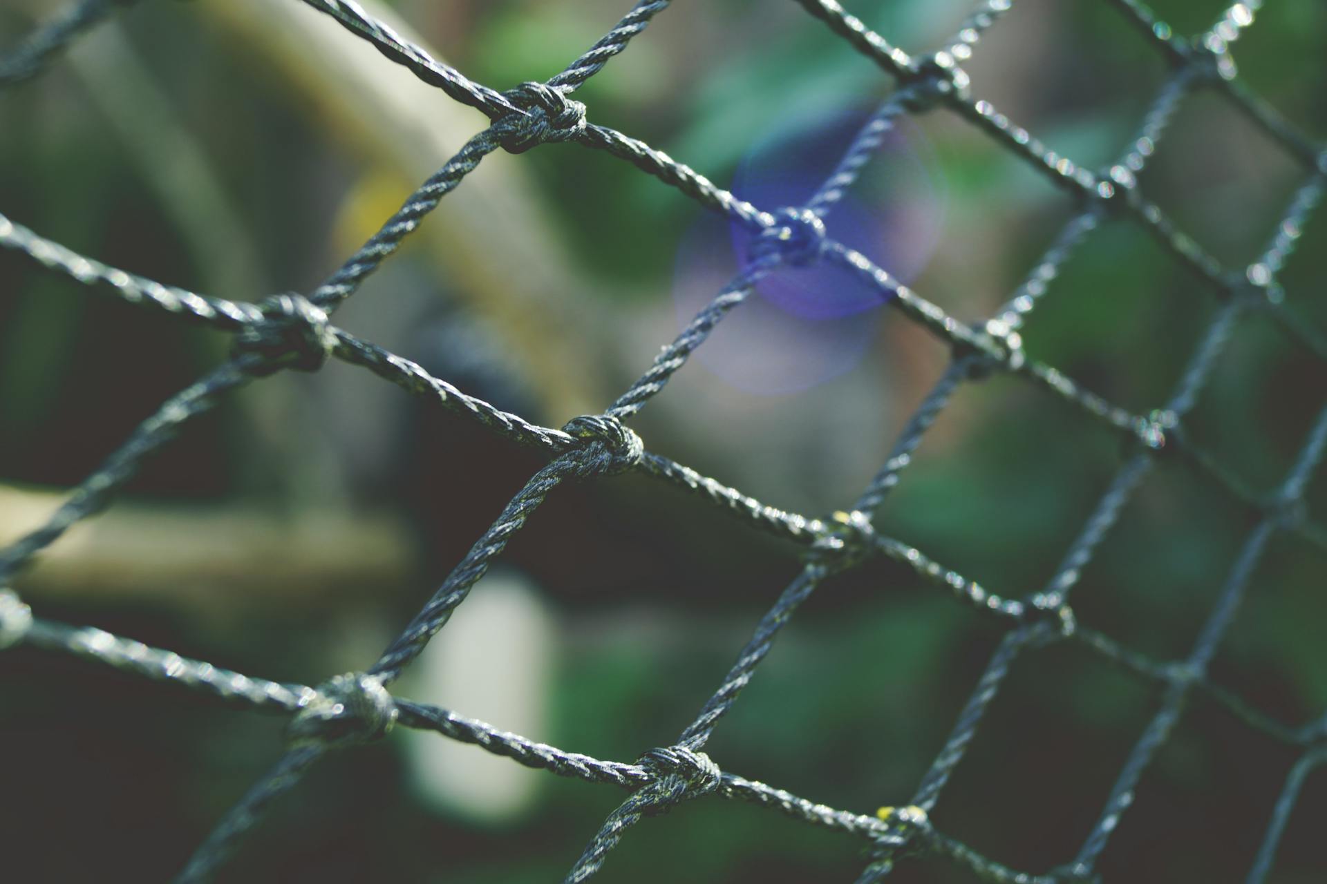 Close View of Black Net