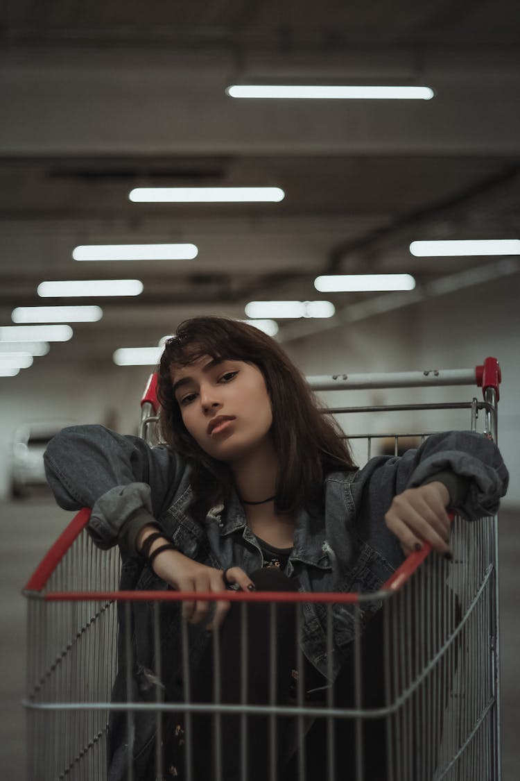 Calm Sitting In Shopping Trolley