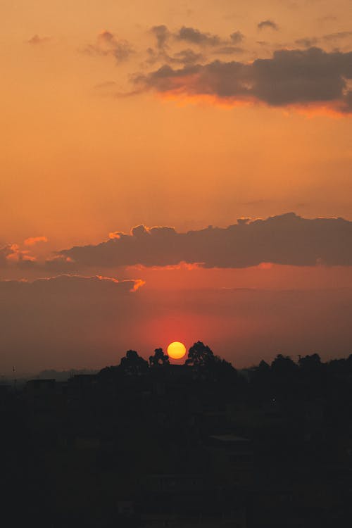 Distant bright sun setting on horizon on sunset sky with clouds over high trees in dark in evening time in nature