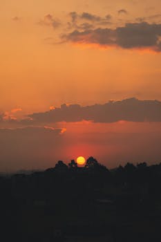 Distant bright sun setting on horizon on sunset sky with clouds over high trees in dark in evening time in nature
