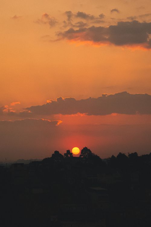 Free Distant bright sun setting on horizon on sunset sky with clouds over high trees in dark in evening time in nature Stock Photo