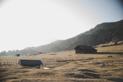 Základová fotografie zdarma na téma cestování, denní světlo, dům