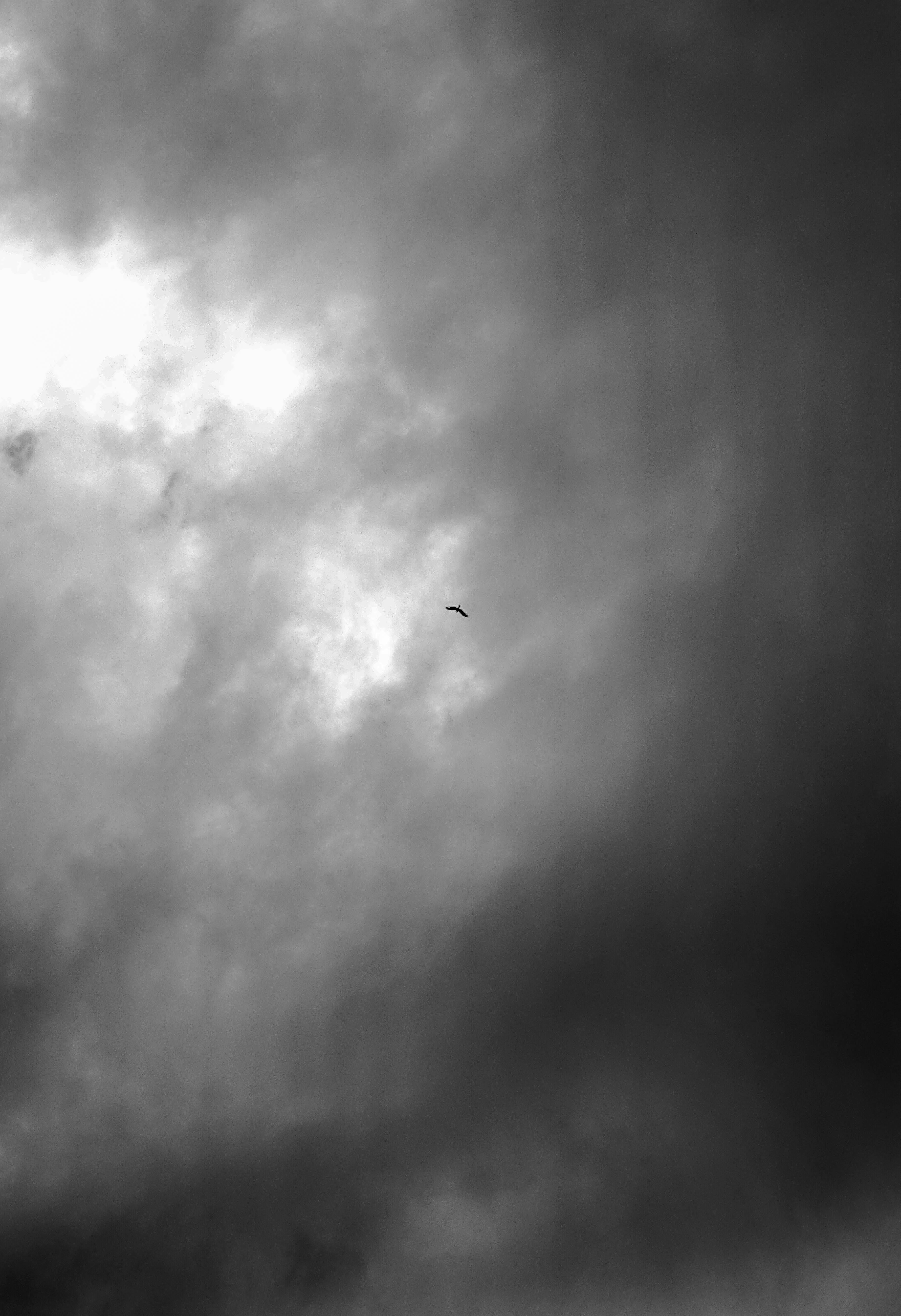 Free Stock Photo Of Black And White Clouds Dark Sky