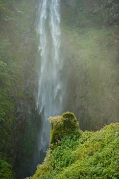 A stunning waterfall plunges down a verdant cliff surrounded by lush greenery, creating a serene natural scene.