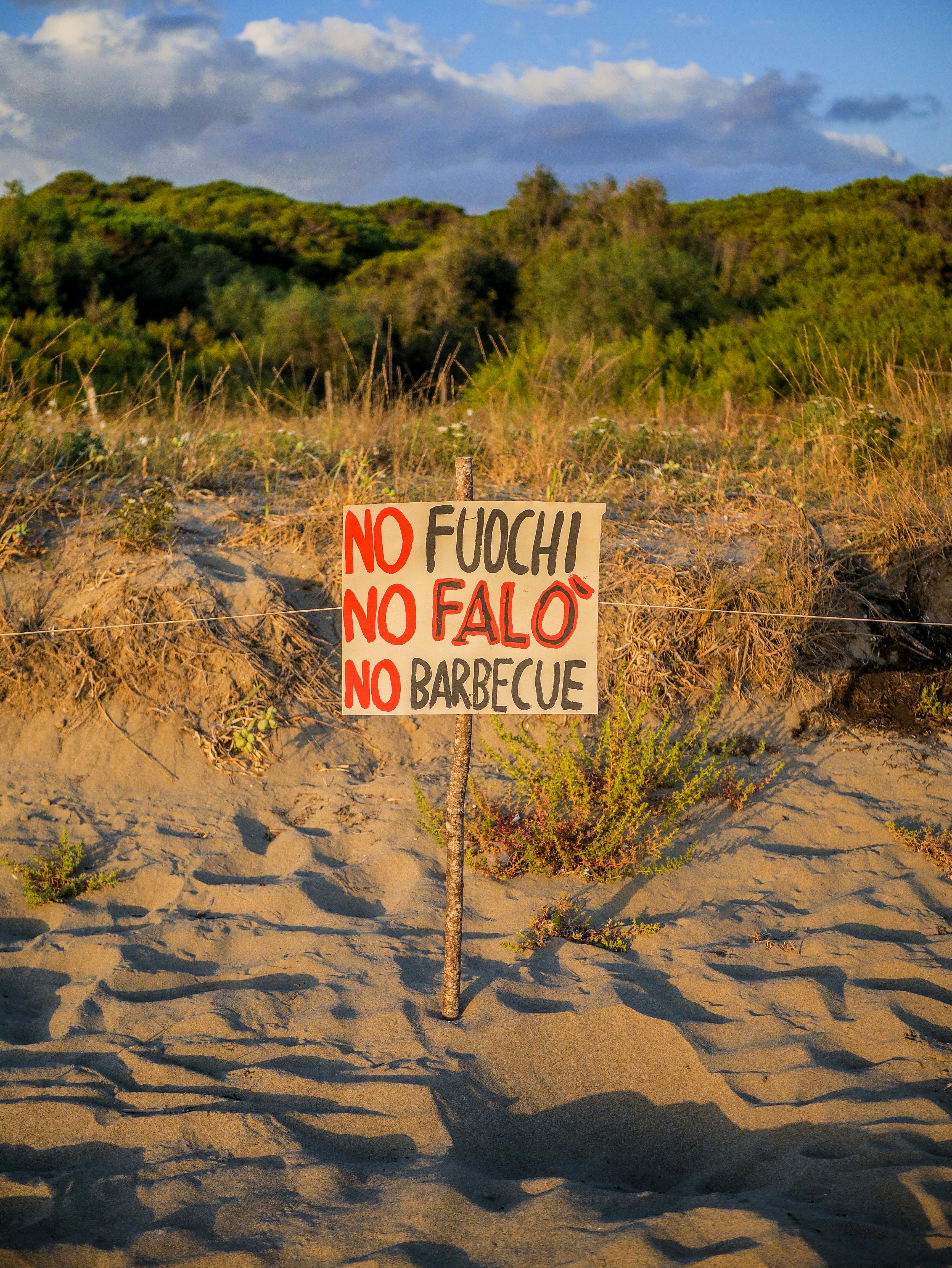 What are 3 rules in rugby?