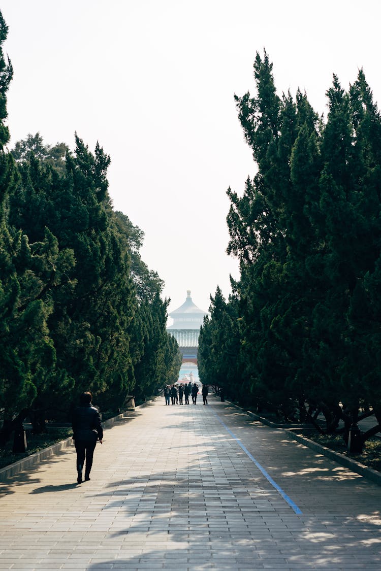 People Walking On Sidewalk