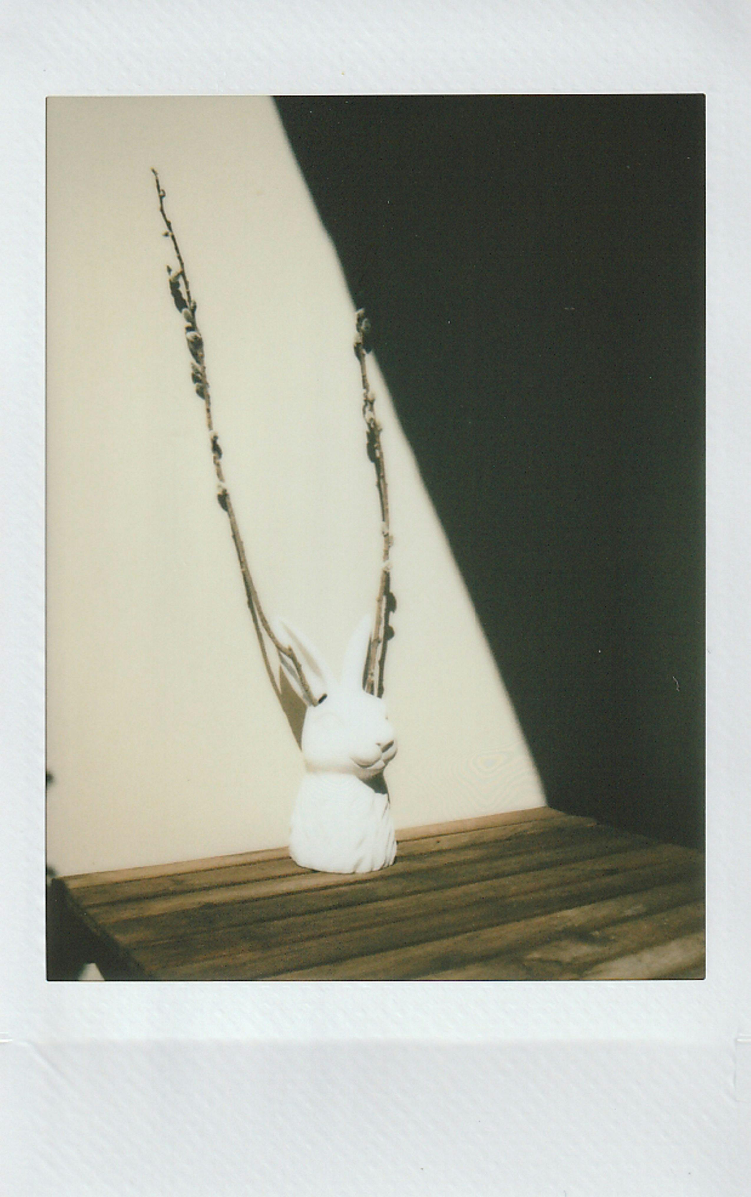 De franc Gerro Blanc Sobre Taula De Fusta Foto d'estoc