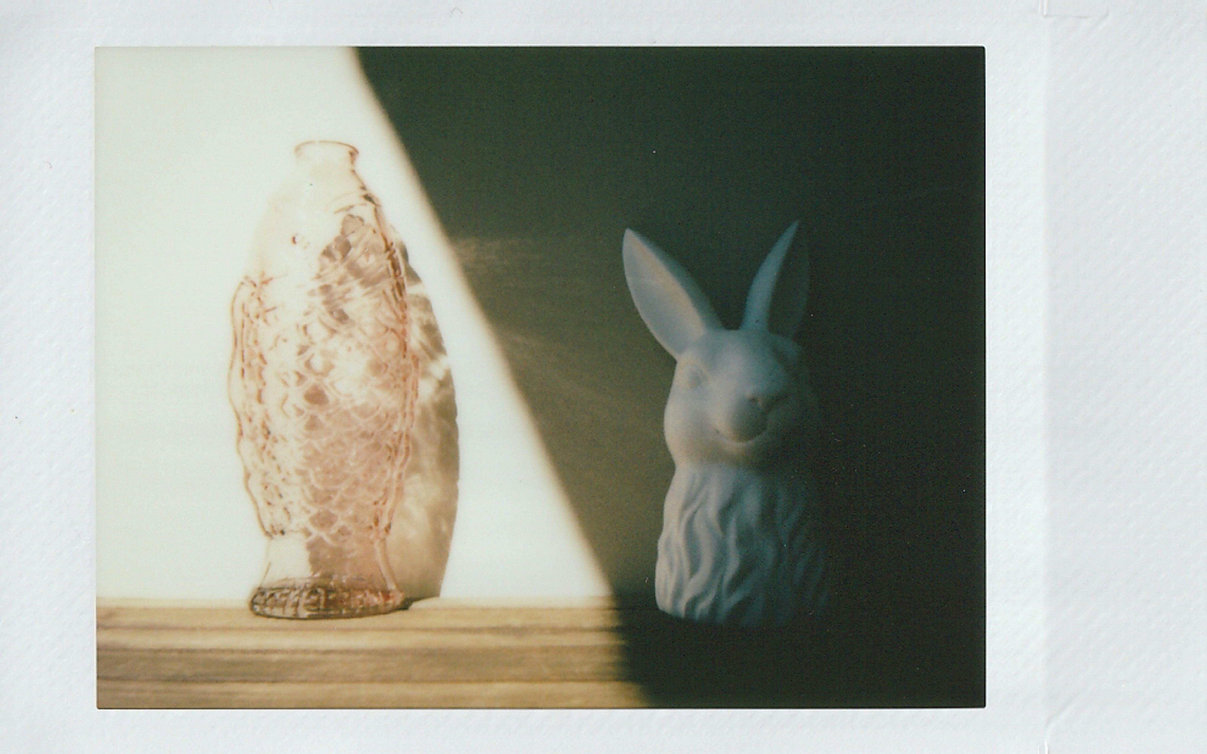 A vintage Instant film photo of a rabbit and glass fish figurine with dramatic lighting.