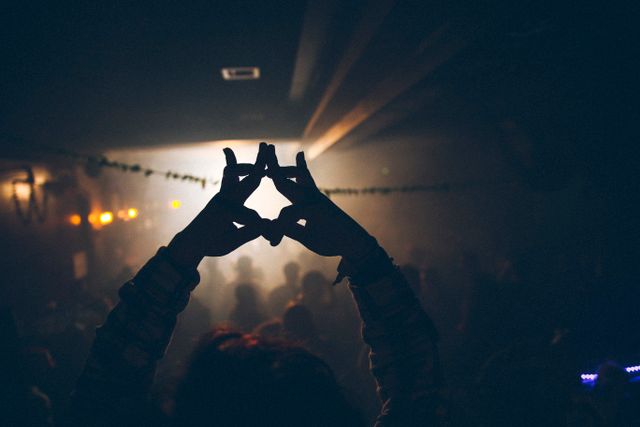 Hands raised in a backlit concert crowd — photo by Maor Attias on Pexels