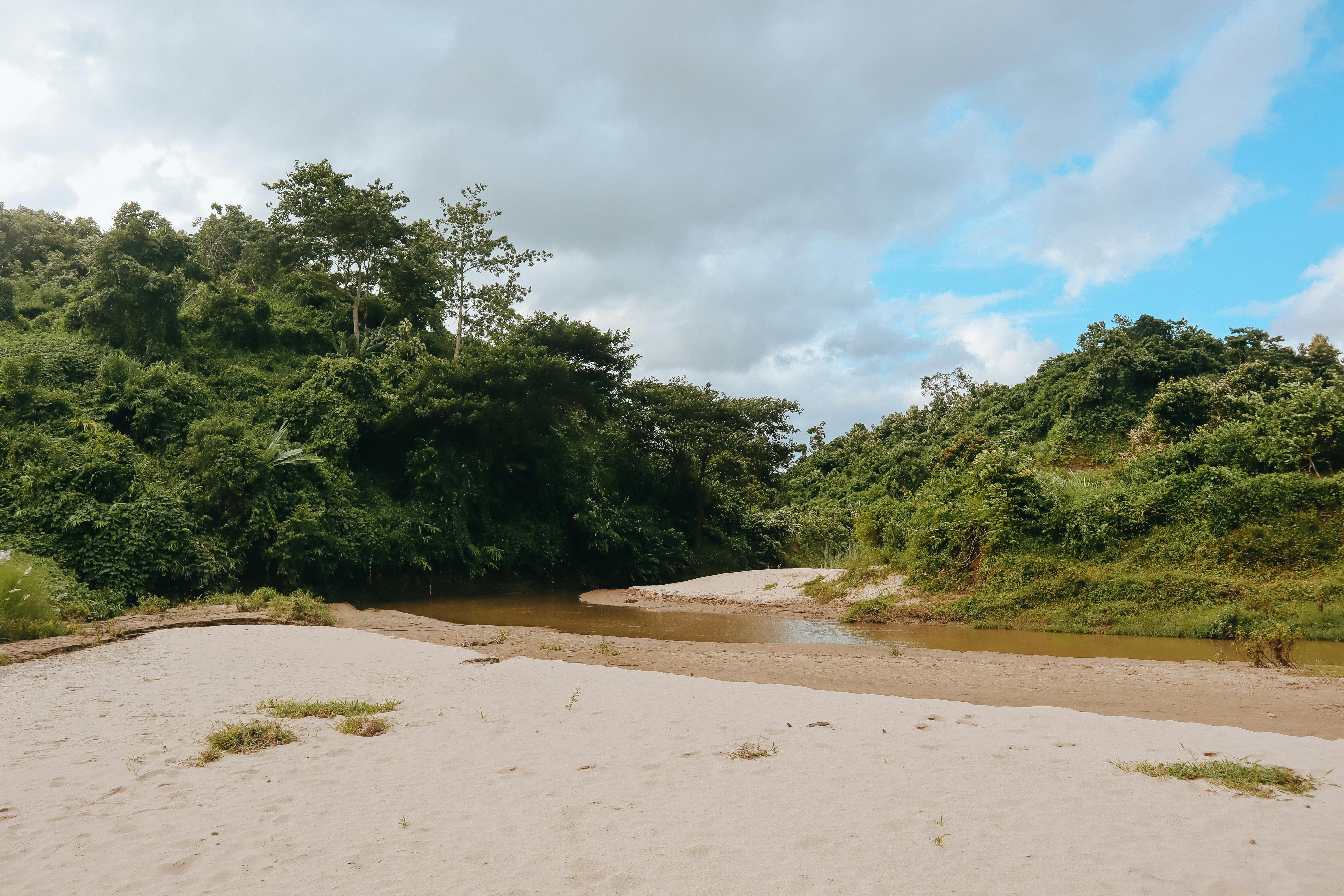 Serene river scene with sandy banks and lush foliage under a cloudy blue sky.