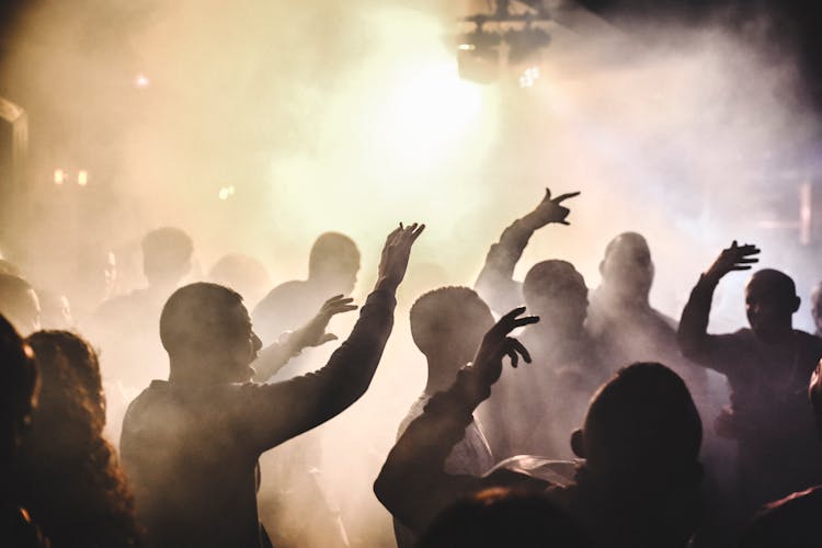 Silhouette Of People Dancing In A Club