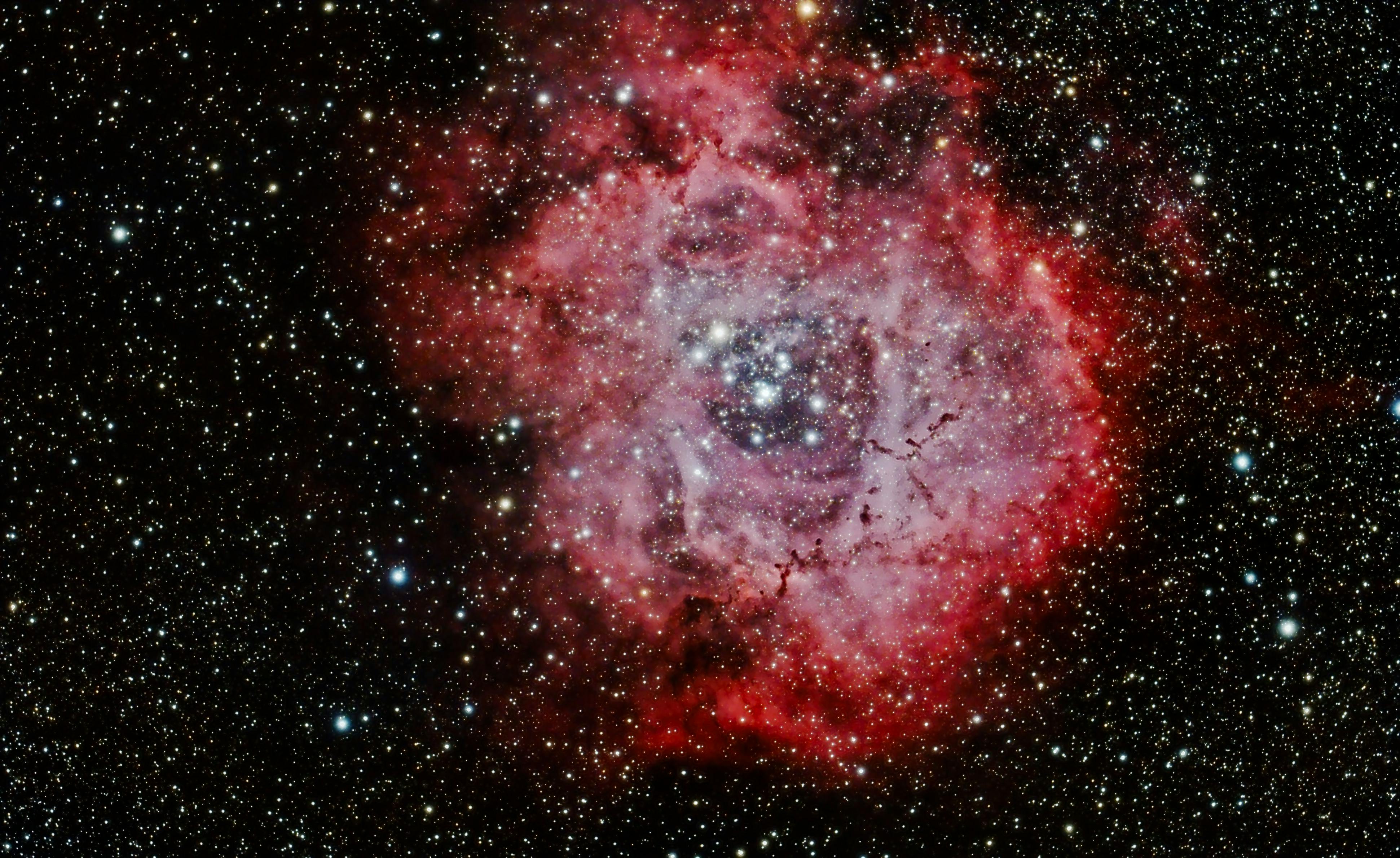 Rosette Nebula NGC 2237  NOIRLab