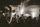 crowd dancing