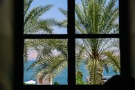 View from Window on Palm Trees and Sea 