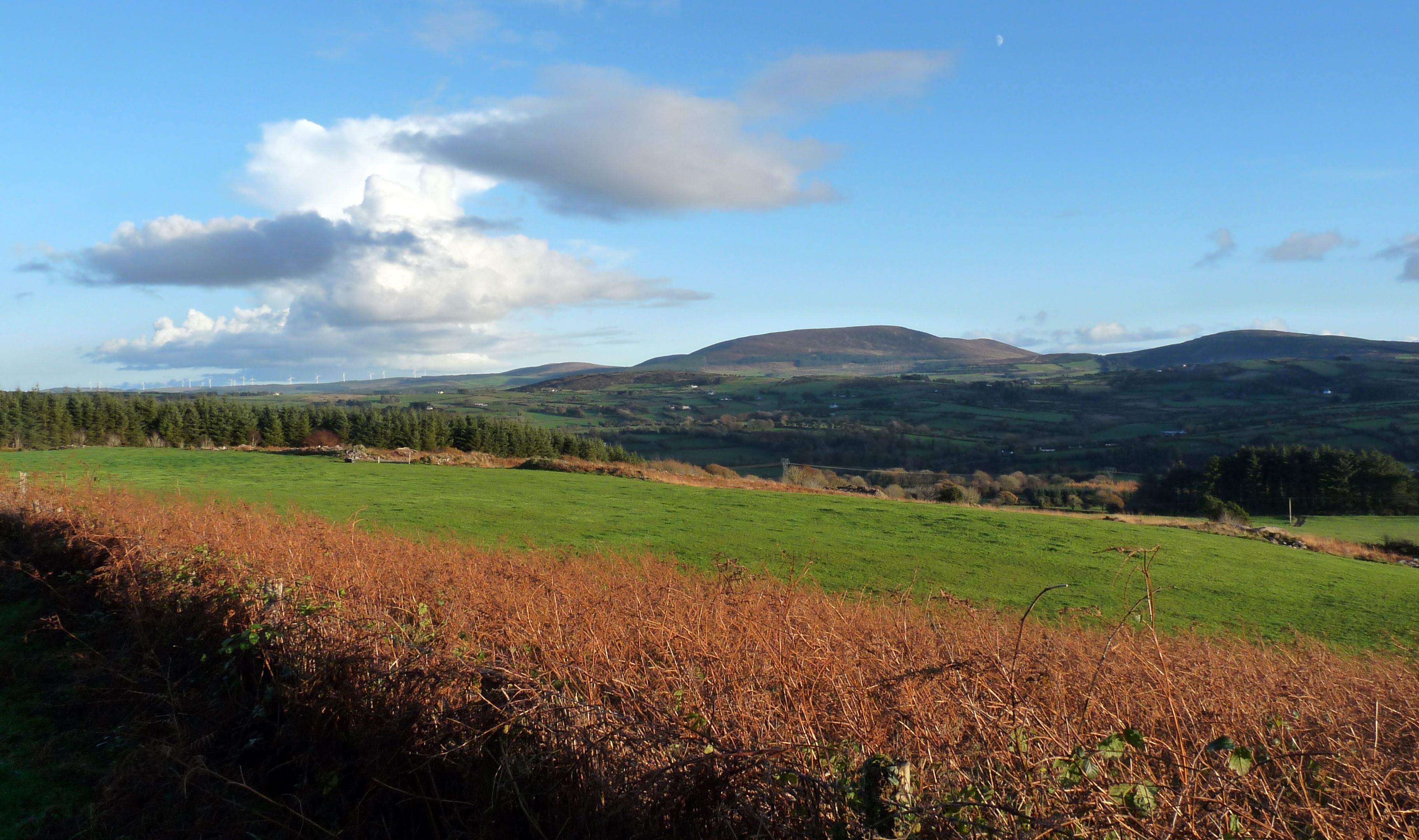 Free Stock Photo Of Ireland Kerry Nature