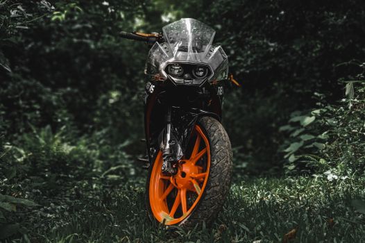 A sleek motorcycle with vibrant orange wheels in a lush forest setting.