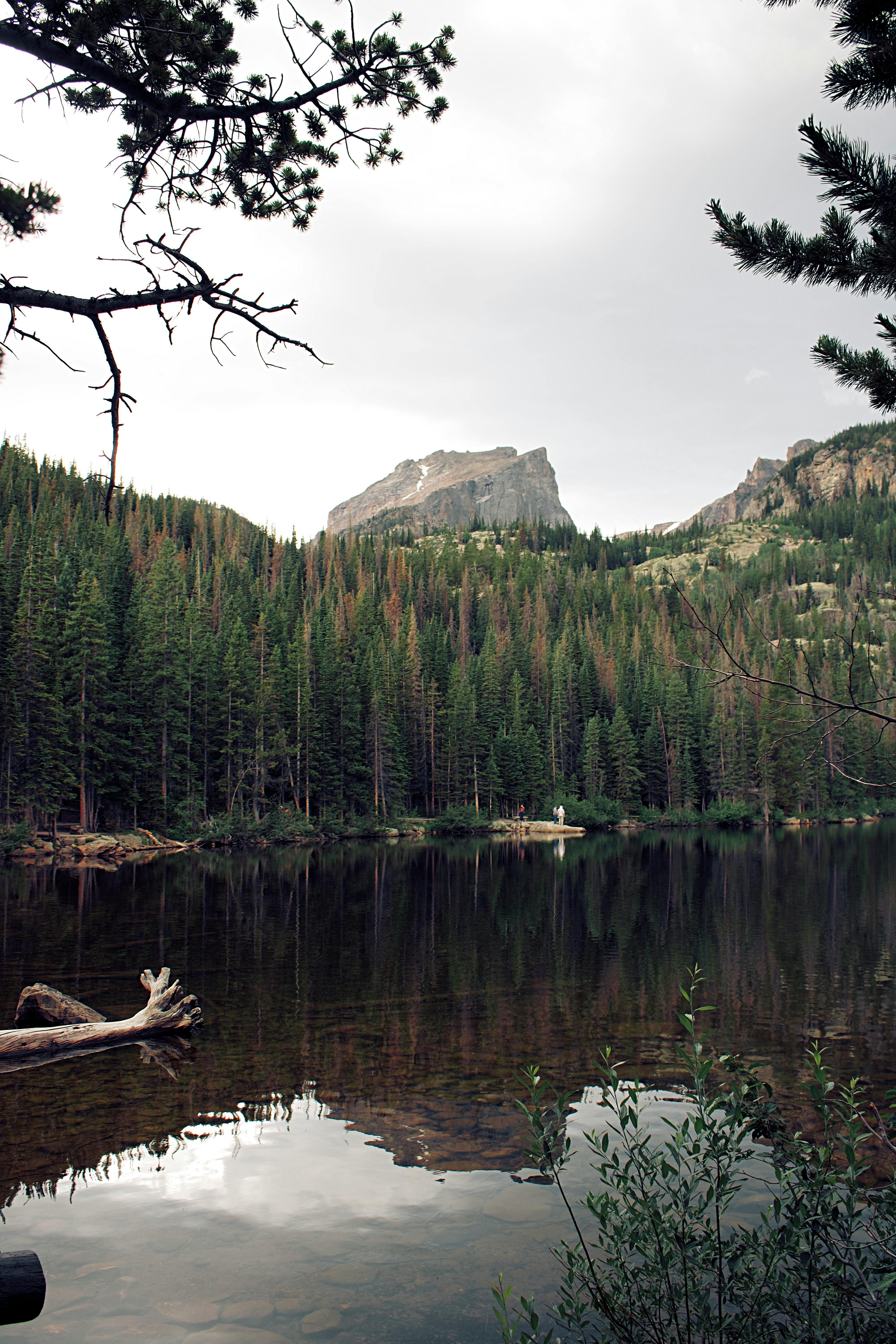Serene landscape of a calm lake surrounded by lush pine trees and distant mountains in Wyoming.
